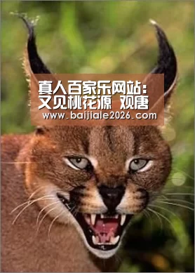 百家乐在线直播