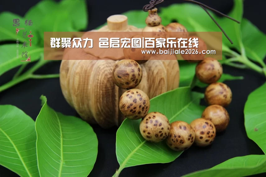 百家乐在线