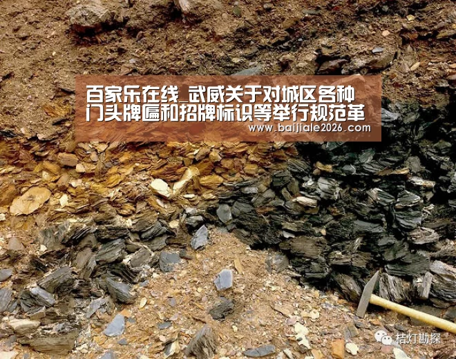 真人百家乐网站