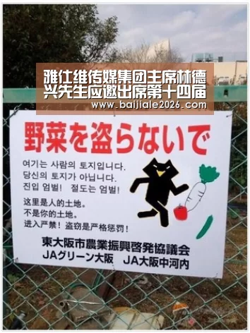 百家乐在线